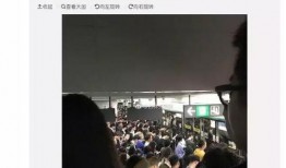 深圳网友伍先生爆料视频,揭秘事件背后惊人真相